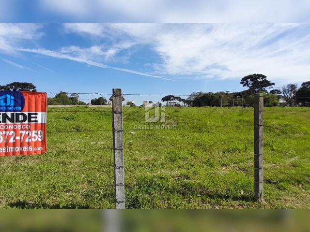 Terreno / Lote para Venda em Pinhais/PR Centro