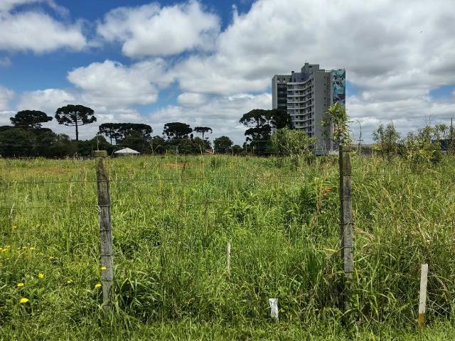 Terreno / Lote para Venda em Pinhais/PR Centro