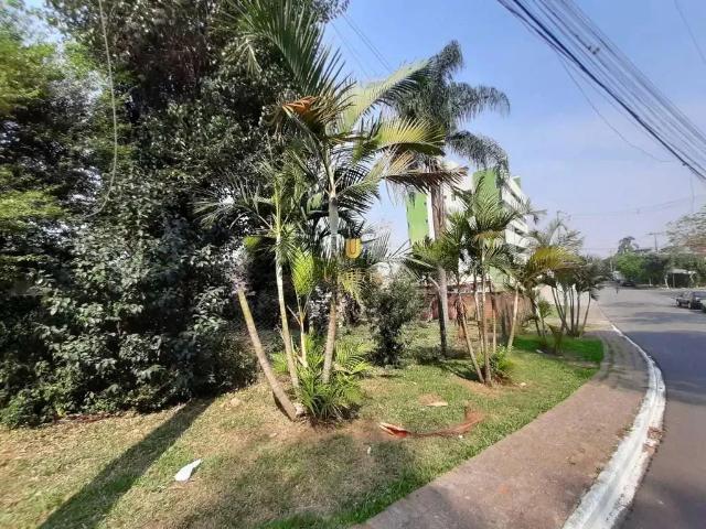 Terreno / Lote para Venda em Pinhais/PR Centro