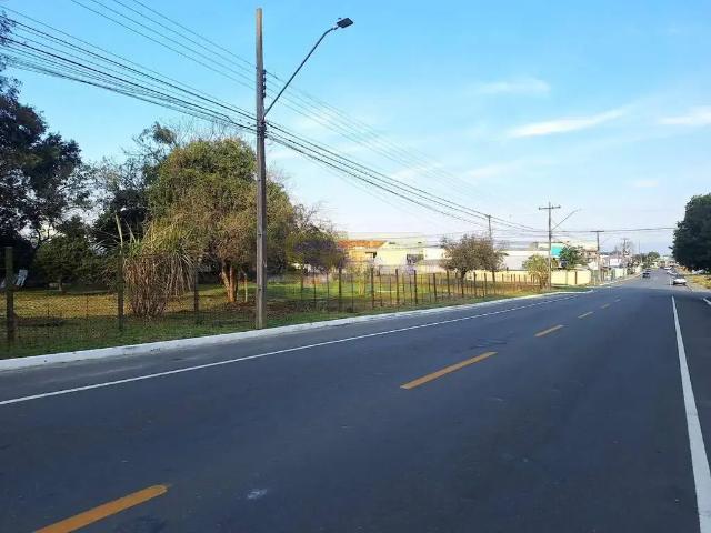 Terreno / Lote para Venda em Pinhais/PR Centro