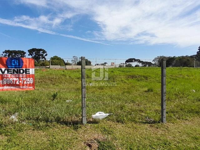 Terreno / Lote para Venda em Pinhais/PR Centro
