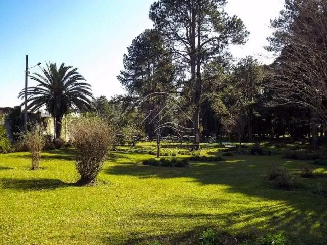 Terreno / Lote para Venda em Pinhais/PR Alphaville Graciosa