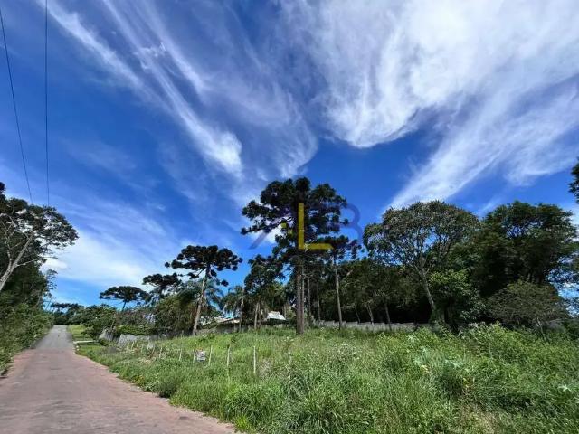 Terreno / Lote para Venda em Pinhais/PR Alphaville Graciosa