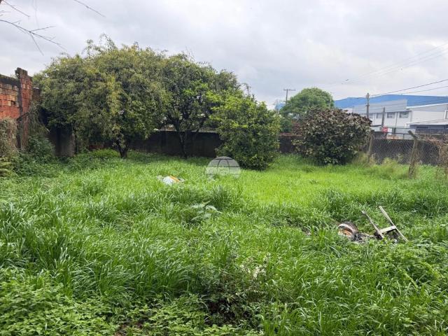 Terreno / Lote para Venda em Pinhais/PR Emiliano Perneta
