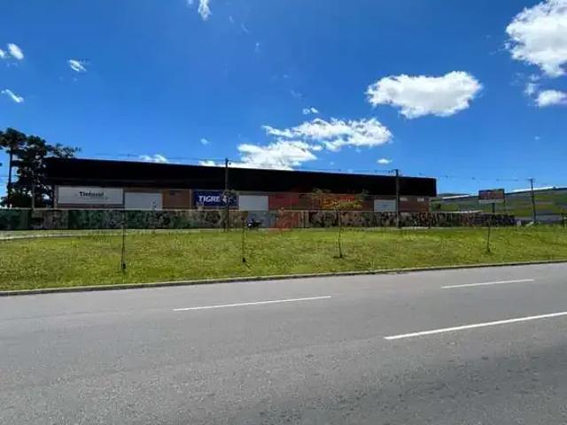 Terreno / Lote para Venda em Pinhais/PR Emiliano Perneta