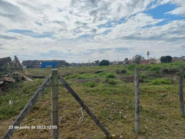 Terreno / Lote para Venda em Pinhais/PR Estância Pinhais