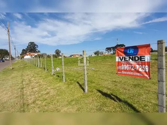 Terreno / Lote para Venda em Pinhais/PR Estância Pinhais