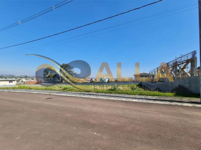 Terreno / Lote para Venda em Pinhais/PR Jardim Amélia