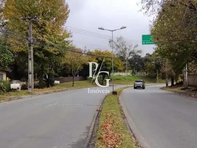 Terreno / Lote para Venda em Pinhais/PR Jardim Cláudia