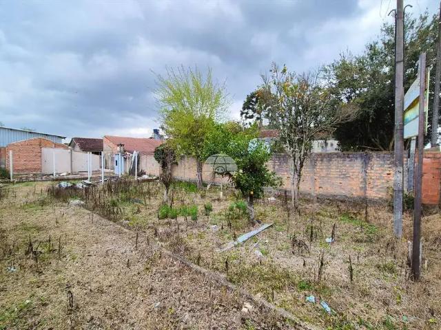 Terreno / Lote para Venda em Pinhais/PR Maria Antonieta