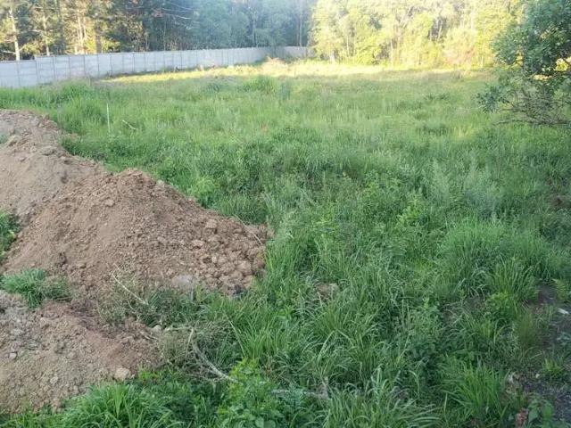 Terreno / Lote para Venda em Pinhais/PR Parque das Nascentes