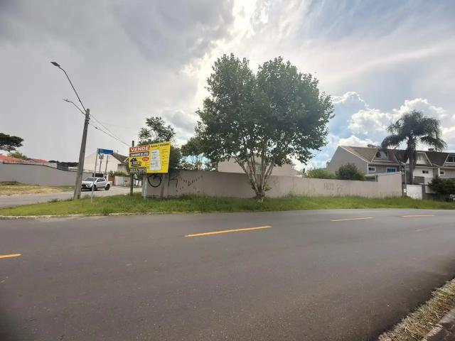 Terreno / Lote para Venda em Pinhais/PR Pineville