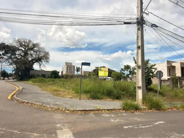 Terreno / Lote para Venda em Pinhais/PR Pineville