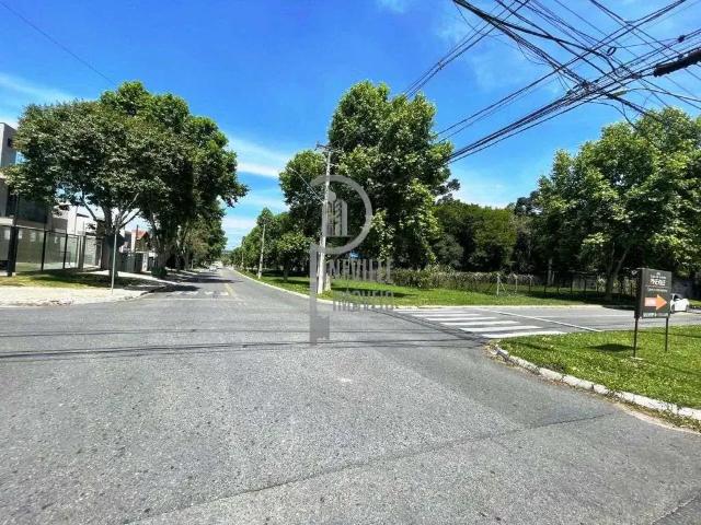 Terreno / Lote para Venda em Pinhais/PR Pineville