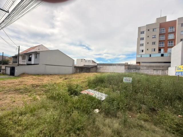 Terreno / Lote para Venda em Pinhais/PR Pineville