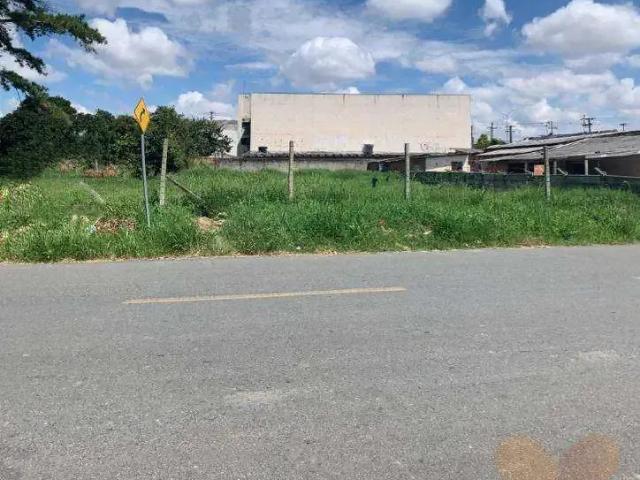 Terreno / Lote para Venda em Pinhais/PR Pineville