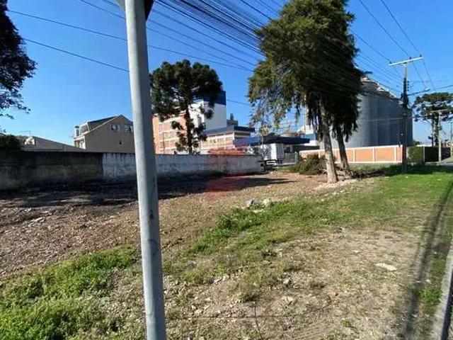 Terreno / Lote para Venda em Pinhais/PR Weissópolis