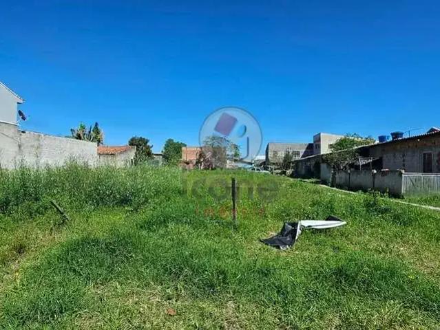 Terreno / Lote para Venda em Pinhais/PR Weissópolis