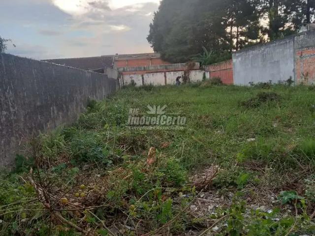 Terreno / Lote para Venda em Pinhais/PR Vargem Grande