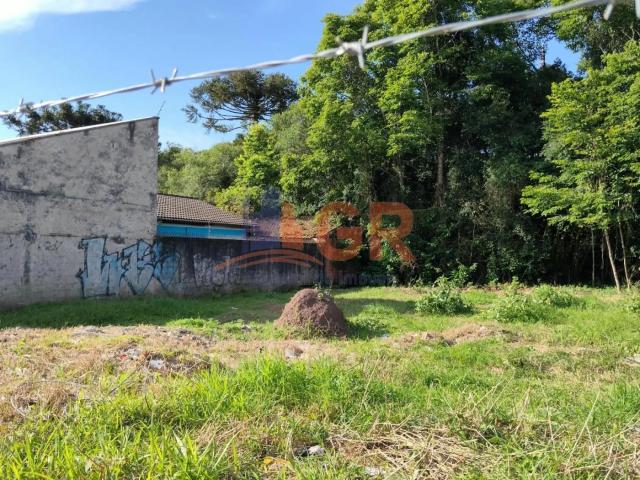 Terreno / Lote para Venda em Pinhais/PR Vargem Grande
