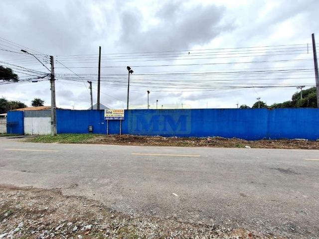 Terreno / Lote para Venda em Pinhais/PR Vargem Grande