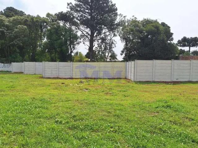 Terreno / Lote para Venda em Pinhais/PR Vargem Grande