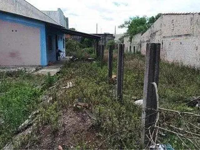 Terreno / Lote para Venda em Pinhais/PR Vargem Grande