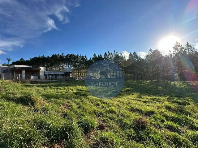 Terreno / Lote para Venda em Pinhalzinho/SP Areal