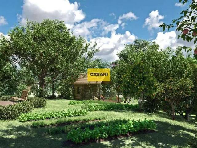 Terreno / Lote para Venda em Pinhalzinho/SP Fazenda Velha