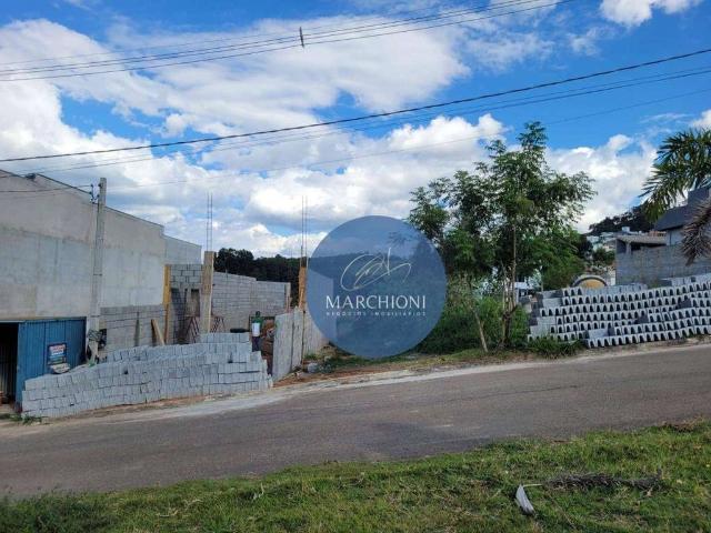 Terreno / Lote para Venda em Pinhalzinho/SP Jardim Império