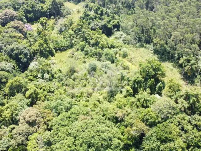 Terreno / Lote para Venda em Picada Café/RS Morro Bock