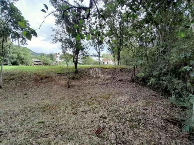 Terreno / Lote para Venda em Picada Café/RS Centro