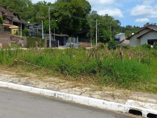 Terreno / Lote para Venda em Picada Café/RS Centro
