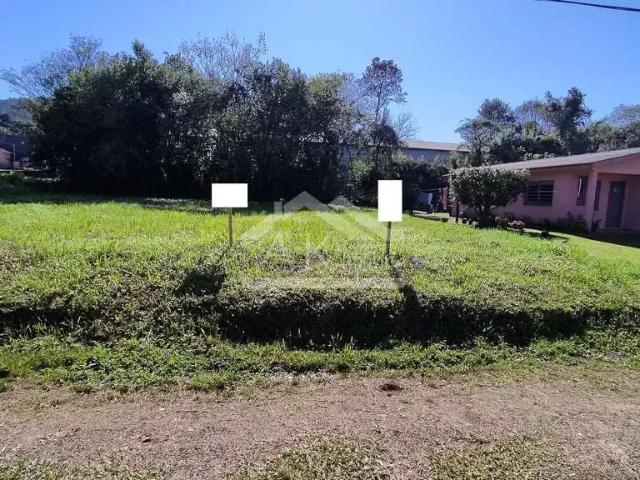 Terreno / Lote para Venda em Picada Café/RS Centro