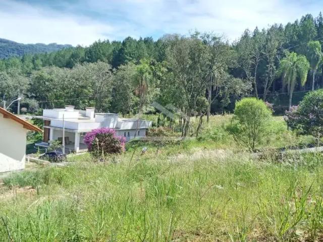 Terreno / Lote para Venda em Picada Café/RS Centro