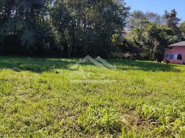 Terreno / Lote para Venda em Picada Café/RS Centro