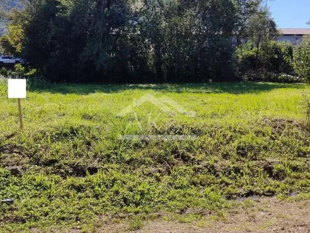 Terreno / Lote para Venda em Picada Café/RS Centro