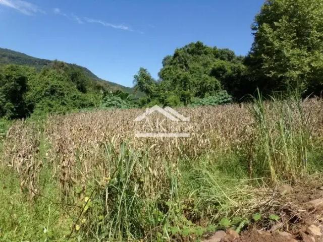 Terreno / Lote para Venda em Picada Café/RS Joaneta