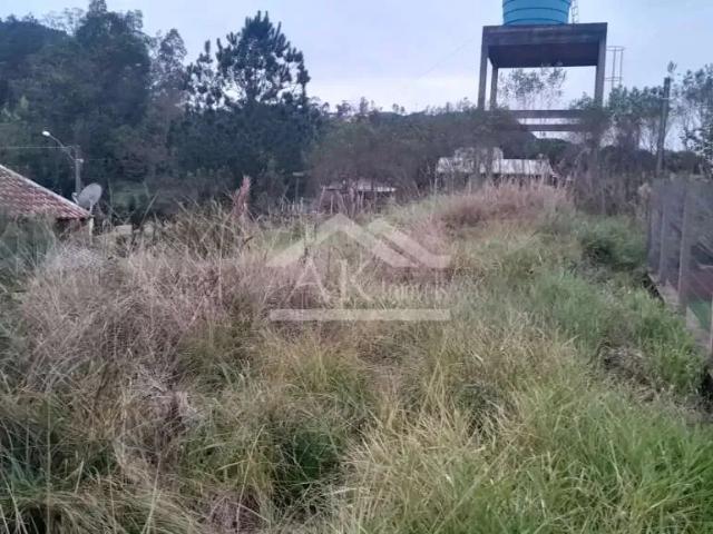 Terreno / Lote para Venda em Picada Café/RS Joaneta