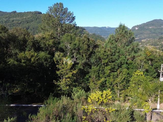 Terreno / Lote para Venda em Picada Café/RS Joaneta