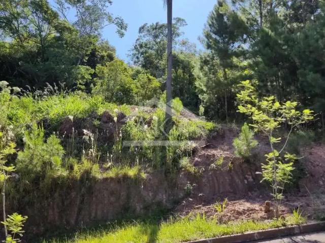 Terreno / Lote para Venda em Picada Café/RS Joaneta