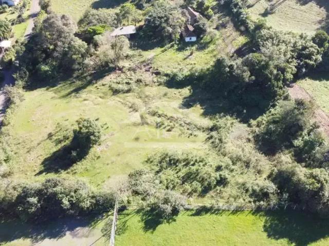 Terreno / Lote para Venda em Picada Café/RS Linha Quatro Cantos