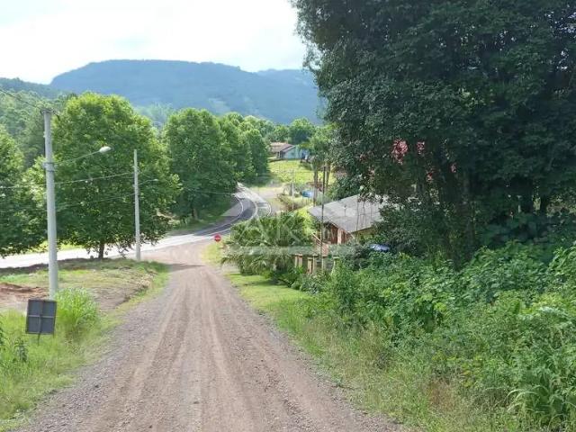 Terreno / Lote para Venda em Picada Café/RS Picada Holanda