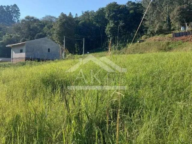 Terreno / Lote para Venda em Picada Café/RS Picada Holanda