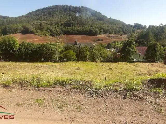 Terreno / Lote para Venda em Picada Café/RS Picada Holanda