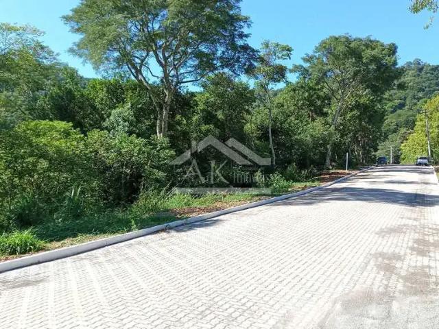 Terreno / Lote para Venda em Picada Café/RS Picada Holanda