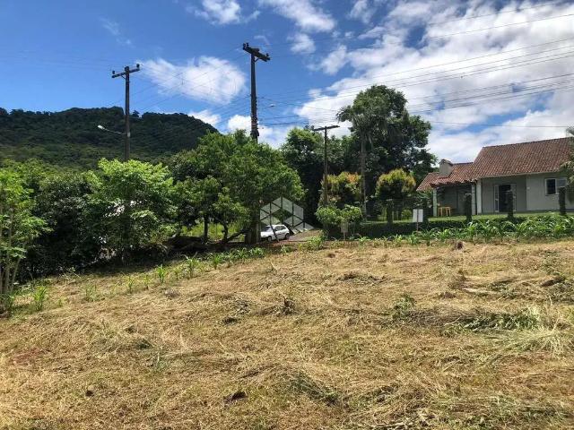Terreno / Lote para Venda em Picada Café/RS Zona Rural