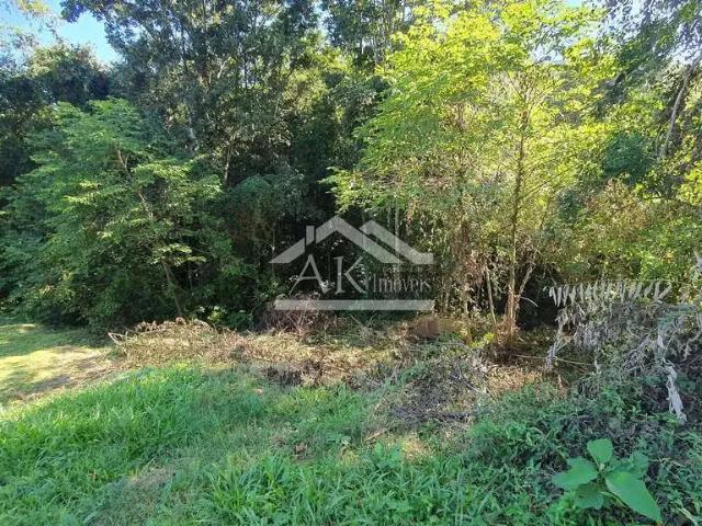 Terreno / Lote para Venda em Picada Café/RS Zona Rural