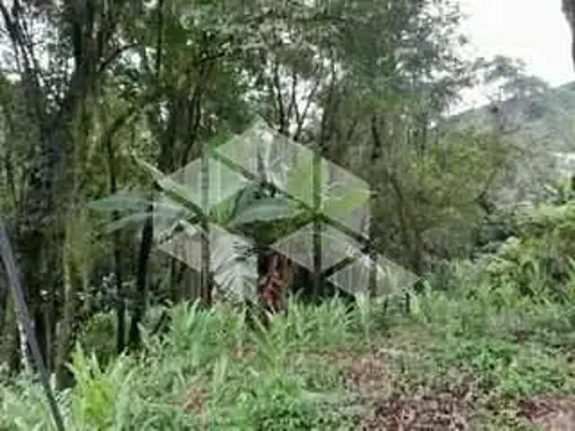 Terreno / Lote para Venda em Picada Café/RS Zona Rural