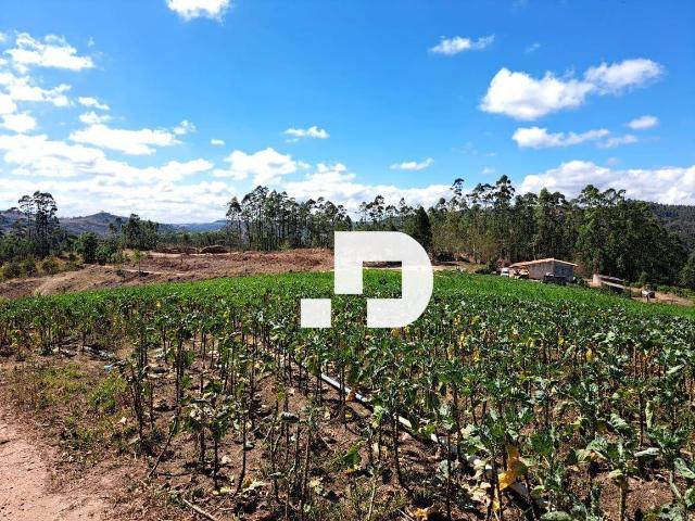 Terreno / Lote para Venda em Piedade/SP Godinhos